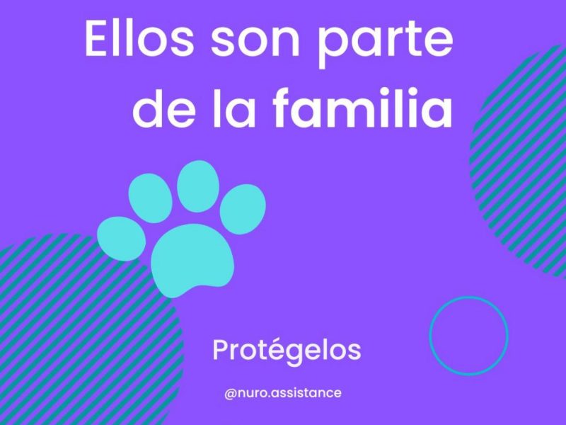 Seguros de Mascotas - Preventivo y de Emergencias